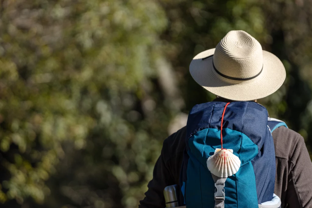 Peregrino-camino-de-santiago